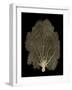 Sea Fan Gold on Black II-Melonie Miller-Framed Art Print