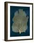 Sea Fan Gold on Teal I-Melonie Miller-Framed Art Print