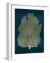 Sea Fan Gold on Teal I-Melonie Miller-Framed Art Print