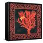 Sea Fan I-Paul Brent-Framed Stretched Canvas