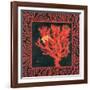 Sea Fan I-Paul Brent-Framed Art Print