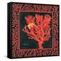 Sea Fan I-Paul Brent-Framed Stretched Canvas