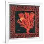 Sea Fan I-Paul Brent-Framed Premium Giclee Print