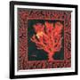 Sea Fan I-Paul Brent-Framed Premium Giclee Print