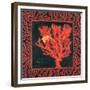 Sea Fan I-Paul Brent-Framed Premium Giclee Print