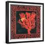 Sea Fan I-Paul Brent-Framed Premium Giclee Print