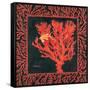 Sea Fan I-Paul Brent-Framed Stretched Canvas