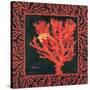 Sea Fan I-Paul Brent-Stretched Canvas