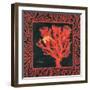 Sea Fan I-Paul Brent-Framed Art Print