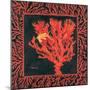 Sea Fan I-Paul Brent-Mounted Art Print