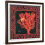 Sea Fan I-Paul Brent-Framed Art Print