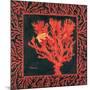 Sea Fan I-Paul Brent-Mounted Art Print