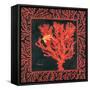 Sea Fan I-Paul Brent-Framed Stretched Canvas