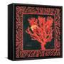 Sea Fan I-Paul Brent-Framed Stretched Canvas