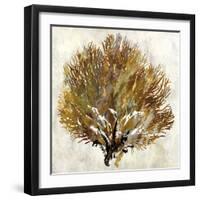 Sea Fan II-Paul Duncan-Framed Giclee Print