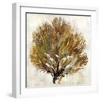 Sea Fan II-Paul Duncan-Framed Giclee Print