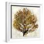 Sea Fan II-Paul Duncan-Framed Giclee Print