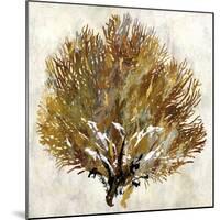 Sea Fan II-Paul Duncan-Mounted Giclee Print