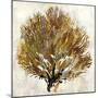 Sea Fan II-Paul Duncan-Mounted Giclee Print