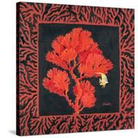 Sea Fan II-Paul Brent-Stretched Canvas