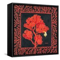 Sea Fan II-Paul Brent-Framed Stretched Canvas