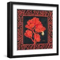 Sea Fan II-Paul Brent-Framed Art Print