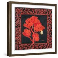 Sea Fan II-Paul Brent-Framed Art Print