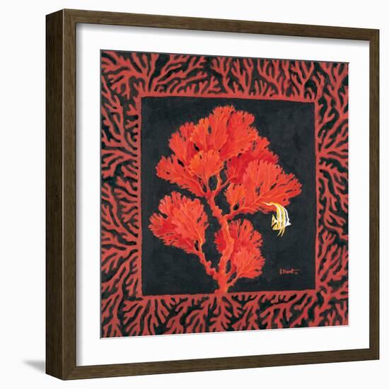 Sea Fan II-Paul Brent-Framed Art Print