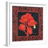 Sea Fan II-Paul Brent-Framed Art Print