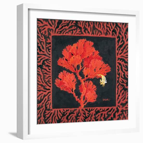 Sea Fan II-Paul Brent-Framed Art Print