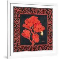 Sea Fan II-Paul Brent-Framed Art Print