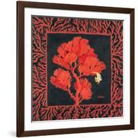 Sea Fan II-Paul Brent-Framed Art Print