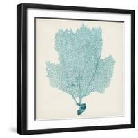 Sea Fan III-Vision Studio-Framed Art Print