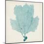 Sea Fan III-Vision Studio-Mounted Art Print