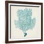 Sea Fan III-Vision Studio-Framed Art Print