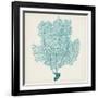 Sea Fan III-Vision Studio-Framed Art Print