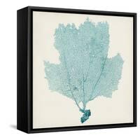Sea Fan III-Vision Studio-Framed Stretched Canvas
