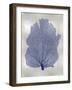 Sea Fan Indigo Blue I-Melonie Miller-Framed Art Print