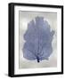 Sea Fan Indigo Blue I-Melonie Miller-Framed Art Print