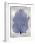 Sea Fan Indigo Blue I-Melonie Miller-Framed Art Print