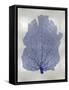 Sea Fan Indigo Blue I-Melonie Miller-Framed Stretched Canvas