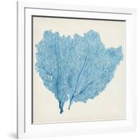 Sea Fan IV-Vision Studio-Framed Art Print