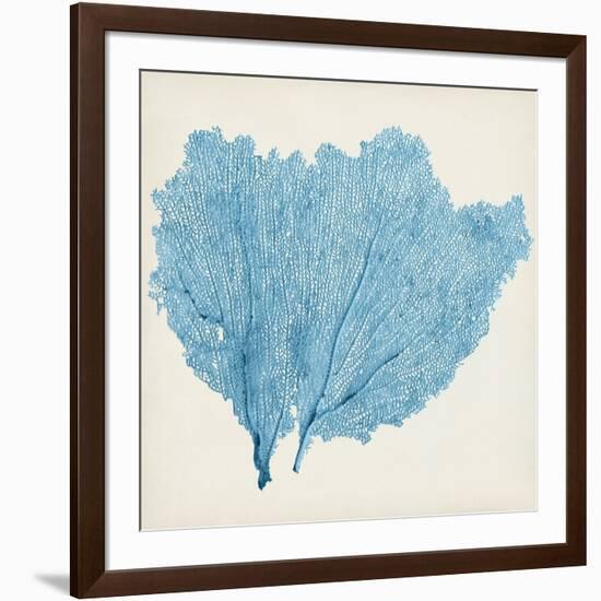 Sea Fan IV-Vision Studio-Framed Art Print