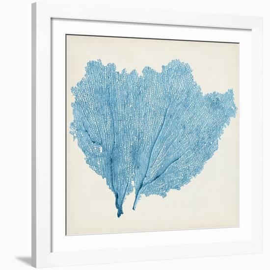 Sea Fan IV-Vision Studio-Framed Art Print