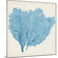 Sea Fan IV-Vision Studio-Mounted Art Print