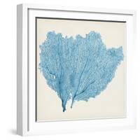 Sea Fan IV-Vision Studio-Framed Art Print