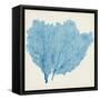 Sea Fan IV-Vision Studio-Framed Stretched Canvas