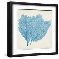 Sea Fan IV-Vision Studio-Framed Art Print