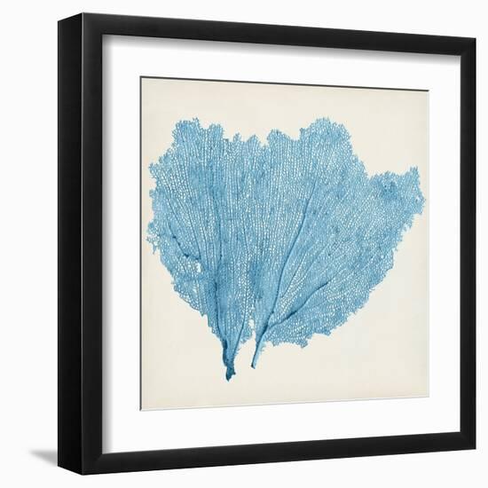 Sea Fan IV-Vision Studio-Framed Art Print