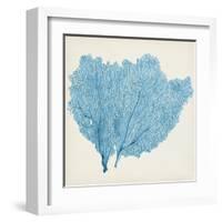 Sea Fan IV-Vision Studio-Framed Art Print